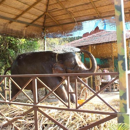 Shangri La Jungle Village Molem Εξωτερικό φωτογραφία