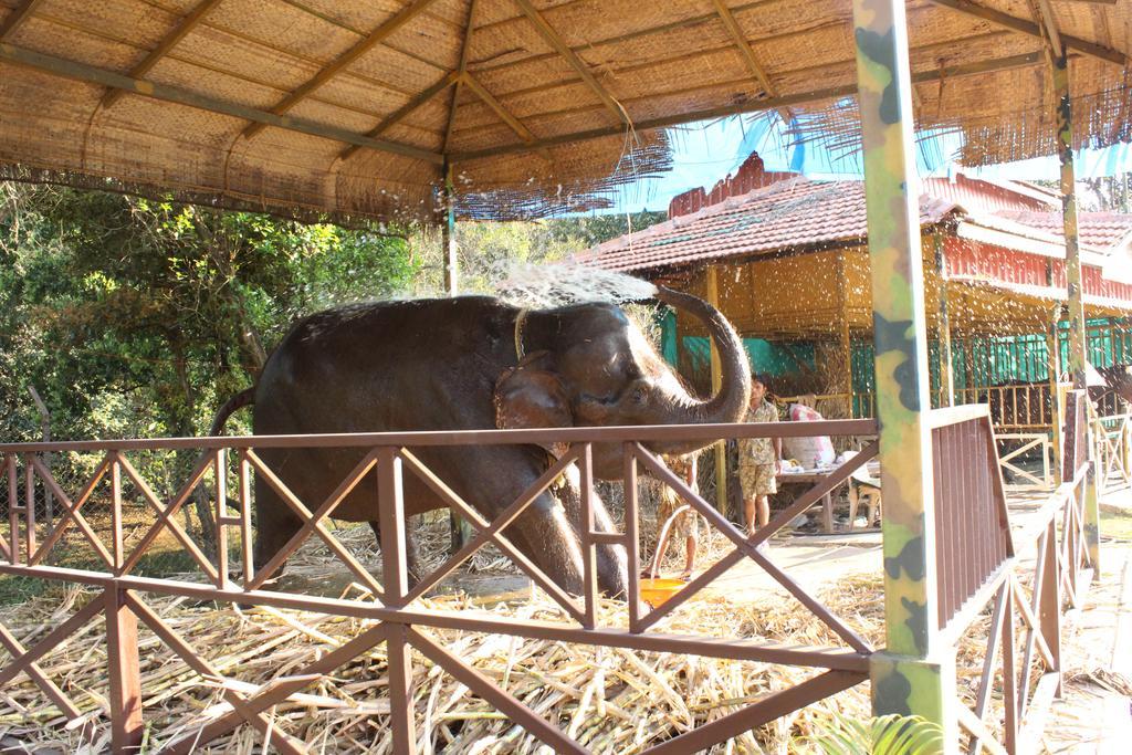 Shangri La Jungle Village Molem Εξωτερικό φωτογραφία